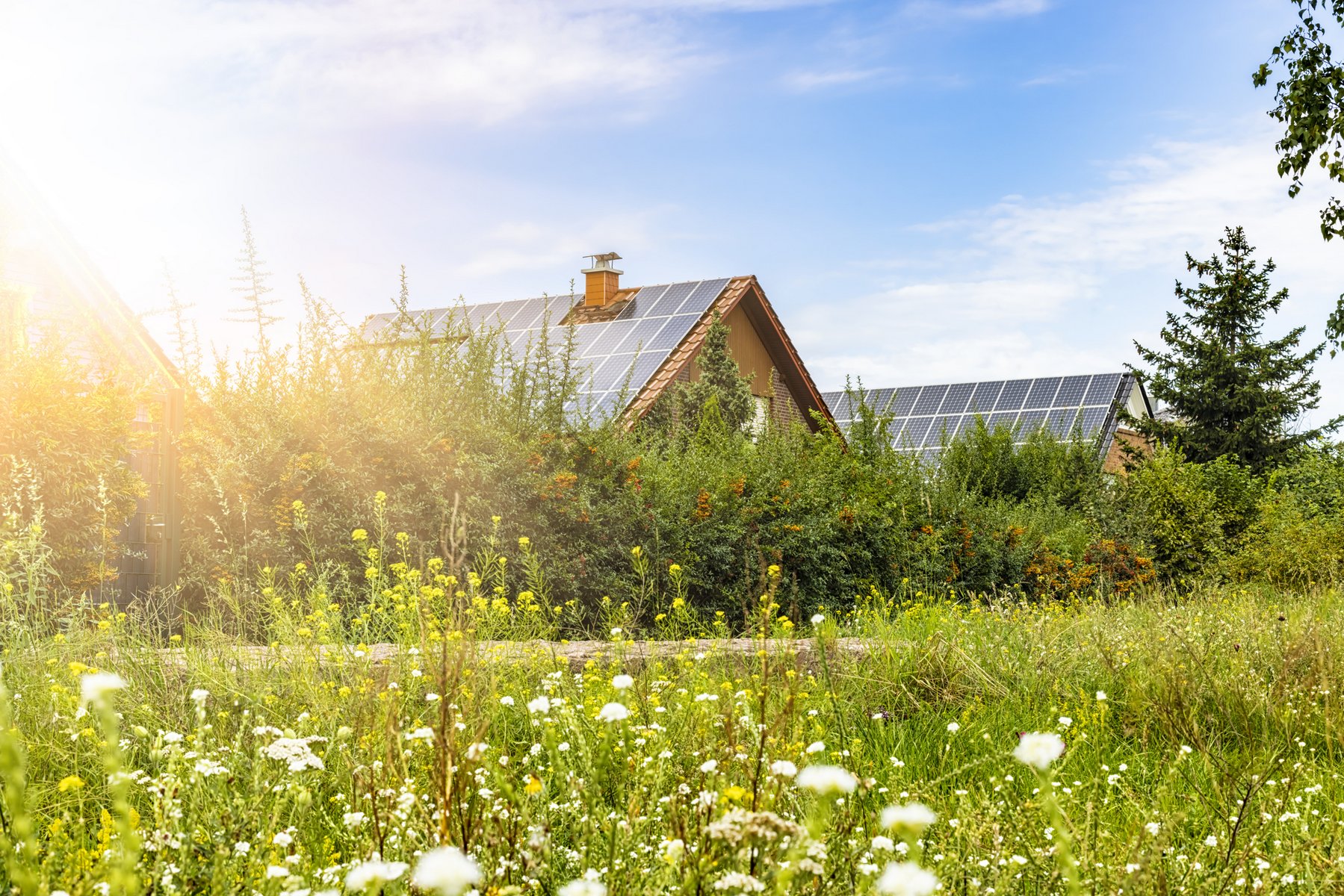 Ein Haus im Hintergrund vor einer blühenden Wiese hat Solarpanele auf dem Dach installiert.
